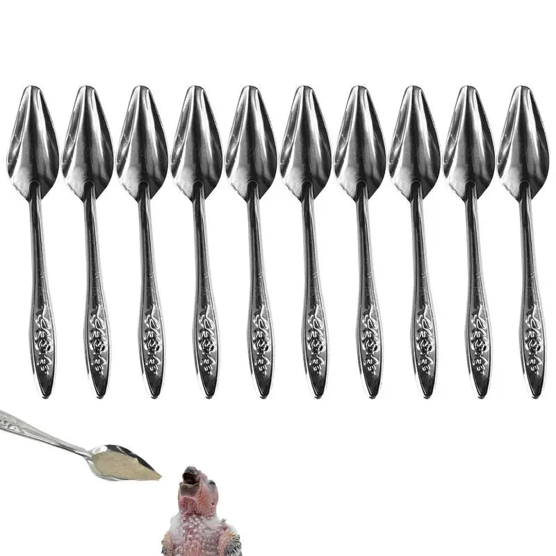 10pcs Portable baby bird feeding water spoon Parrot Feeder Spoon Metal Bird Milk Spoons Baby Parrot Feeder Feeding Supplies
